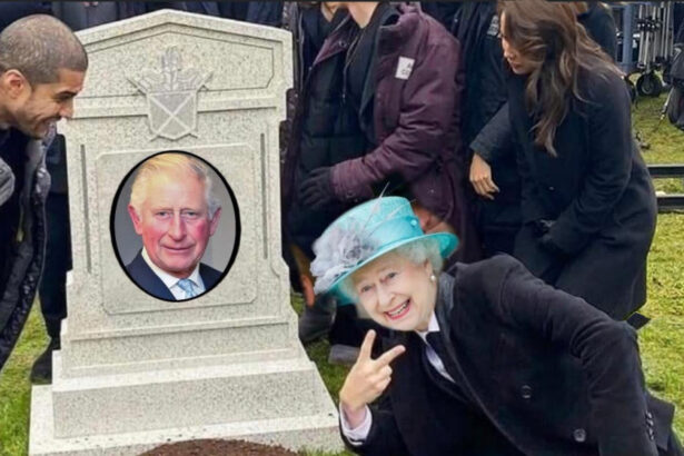 Coronavirus, contagiato anche il Principe Carlo: scoppia l'ironia sul web 20