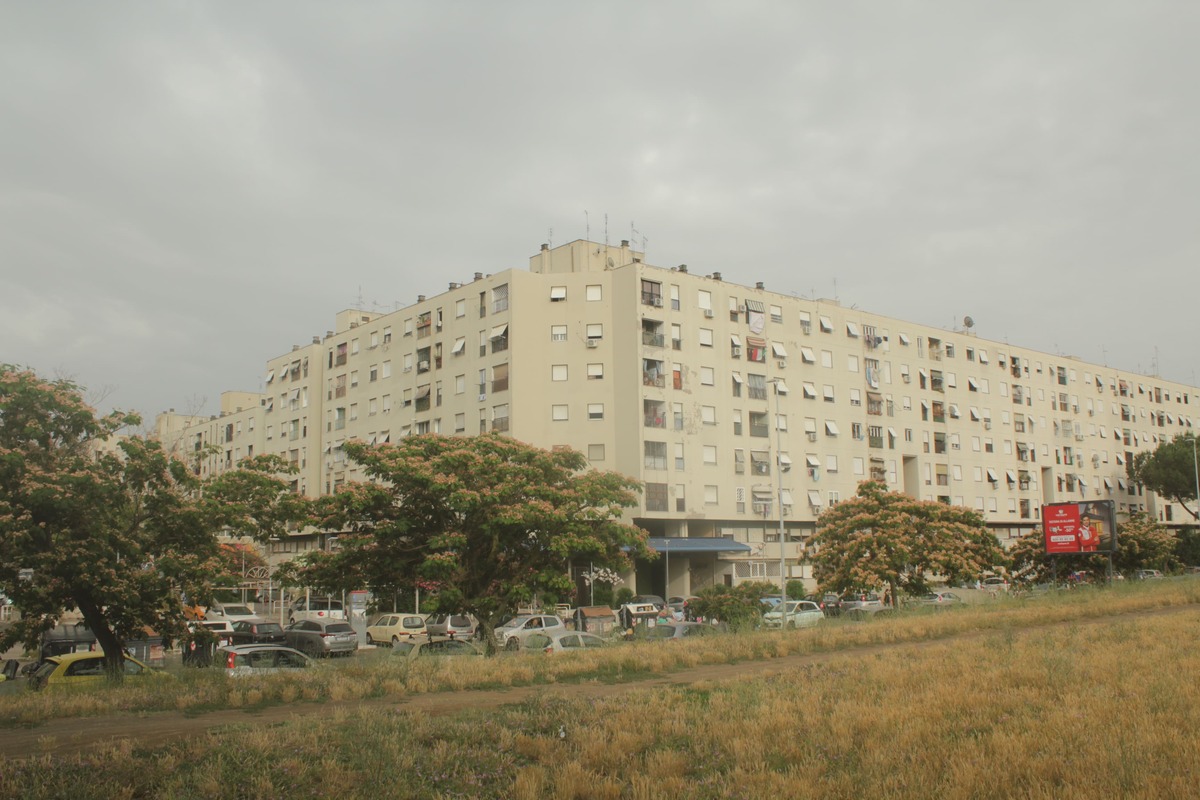 Tor Bella Monaca esprime solidarietà a Tiziana Ronzio: "Mai più criminalità" 5