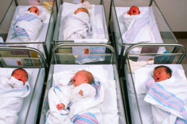 Firenze, donna partorisce tre gemelli omozigoti: accade in 1 caso su 100.000 13