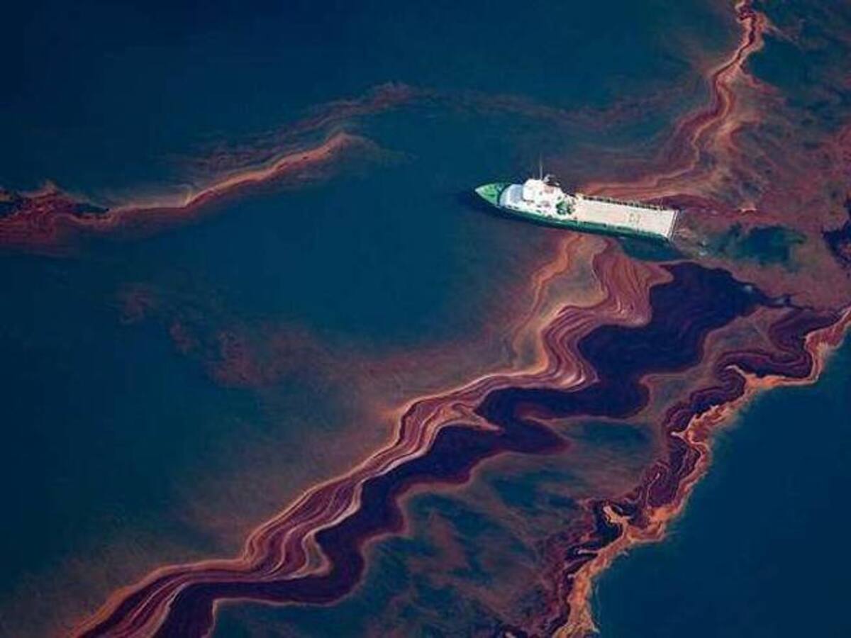 Disastro ambientale in California, in mare 500mila litri di petrolio. Il sindaco: "Fatto devastante" 15