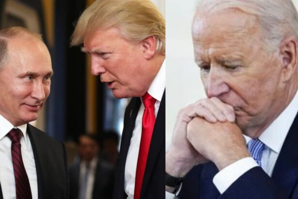 Appello di Donald Trump contro Biden: perché l'ex presidente USA strizza l'occhio alla Russia 18