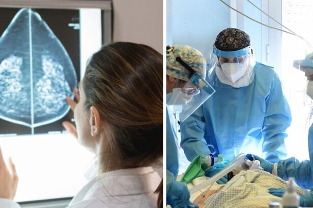 Tumore regredisce dopo vaccino anti-Covid: qual è la spiegazione? 6