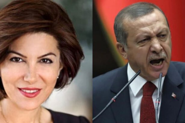 Turchia: arrestata giornalista accusata di aver insultato Erdoğan 6