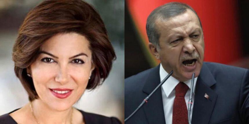 Turchia: arrestata giornalista accusata di aver insultato Erdoğan 1