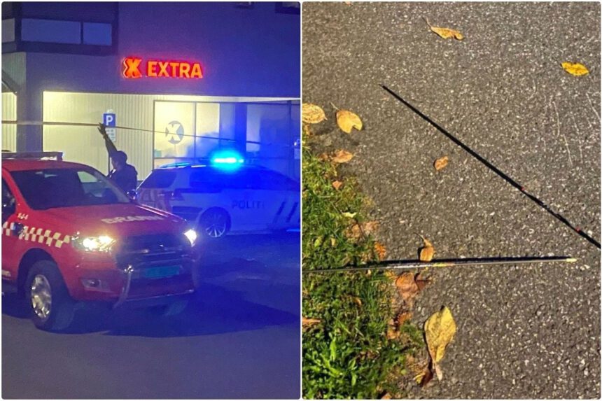 Norvegia, uccide 5 persone con arco e frecce: chi era davvero il killer "convertito all'Islam" 2 Norvegia, uccide 5 persone con arco e frecce: chi era davvero il killer "convertito all'Islam" 1