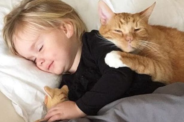 Il suo gatto sta per morire, bambina gli canta ‘You Are My Sunshine’ 21