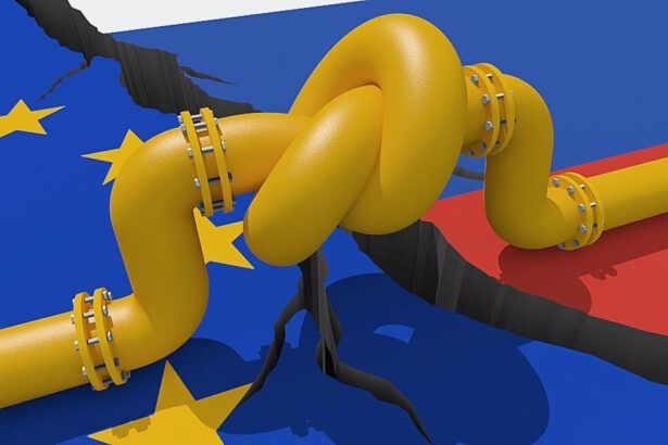 L'Unione europea può ridurre la dipendenza energetica dal gas russo 6