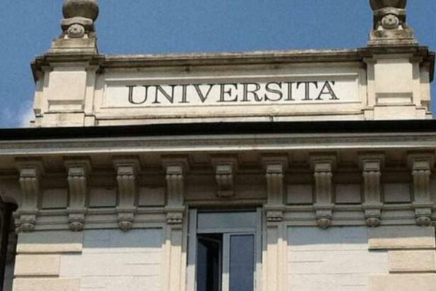Università: 5 regole per ripartire in sicurezza. Ecco quali 19