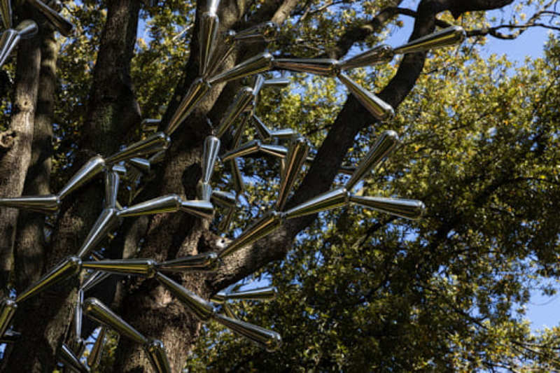 "Back to nature 2021", Villa Borghese diventa un museo d'arte contemporanea a cielo aperto 3 Back to nature 2021, seconda edizione di un'imperdibile rassegna.