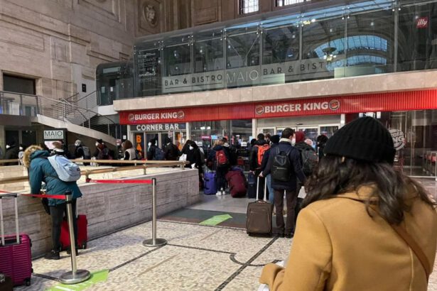 Milano, esodo di Capodanno: lunghe code, ma rigidi i controlli in stazione 11