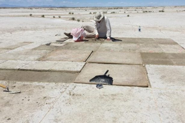 La scoperta: gli esseri umani fanno uso di tabacco da 12.000 anni 7