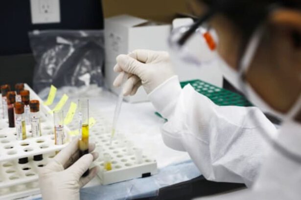 Vaccino low cost, economico e "potenzialmente ottimo": si produce dalle uova 6