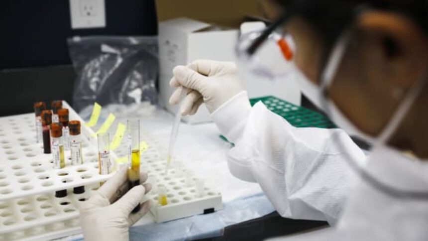 Vaccino low cost, economico e "potenzialmente ottimo": si produce dalle uova 1