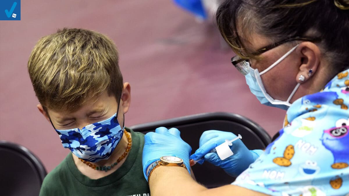 Vaccino Pfizer ai bambini, al via dal 16 dicembre: come prenotarsi, le modalità e i rischi 13