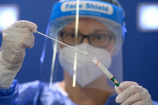 Francia, scoperta nuova variante "IHU": cosa sappiamo e perché preoccupa 10