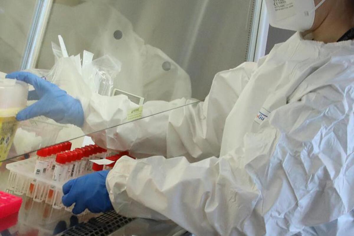 Variante Delta Plus in Italia, cos'è e cosa provoca. Brusaferro: "È in diverse Regioni" 1