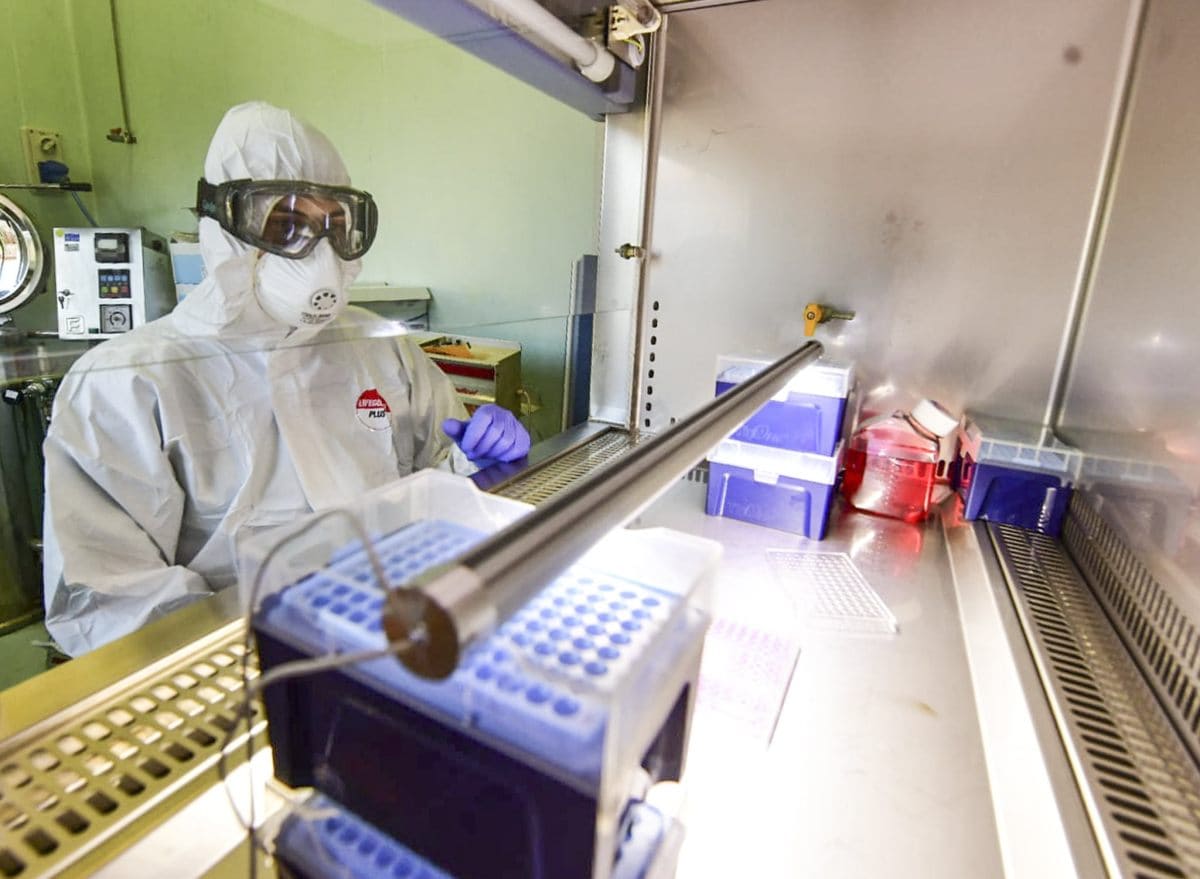 Covid, la variante inglese del virus è in Italia 15