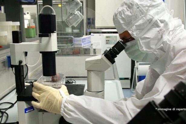 Covid, scovata una “variante milanese” del virus. Cosa rischiamo? 13