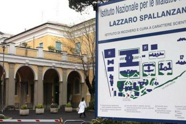 Variante Omicron, identificati tre casi allo Spallanzani: tracciamento per i passeggeri di tre voli 6