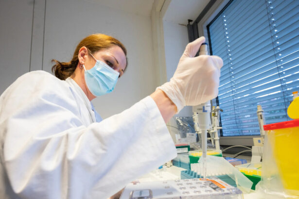 Covid, arriva la nuova variante Xe: cresce in fretta ed è più contagiosa di Omicron 2 16