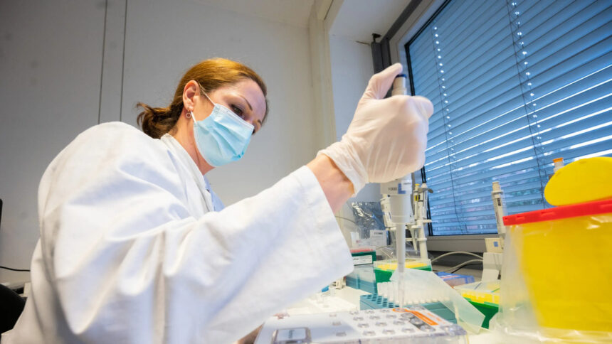 Covid, arriva la nuova variante Xe: cresce in fretta ed è più contagiosa di Omicron 2 2 Covid, arriva la nuova variante Xe: cresce in fretta ed è più contagiosa di Omicron 2 1