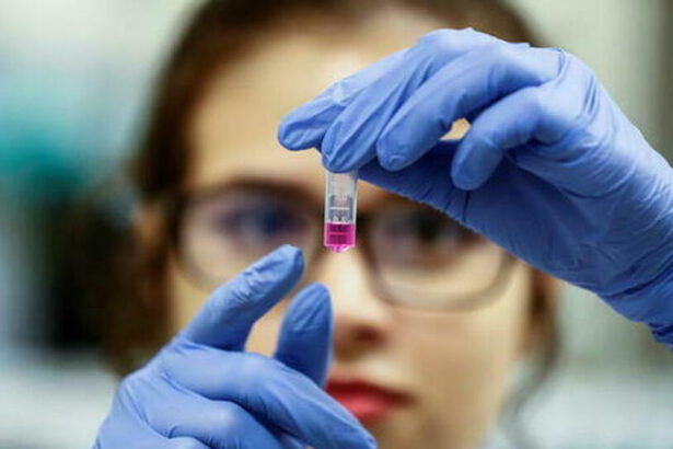 Il Covid-19 è in declino? Ecco cosa dicono gli studi più recenti 17