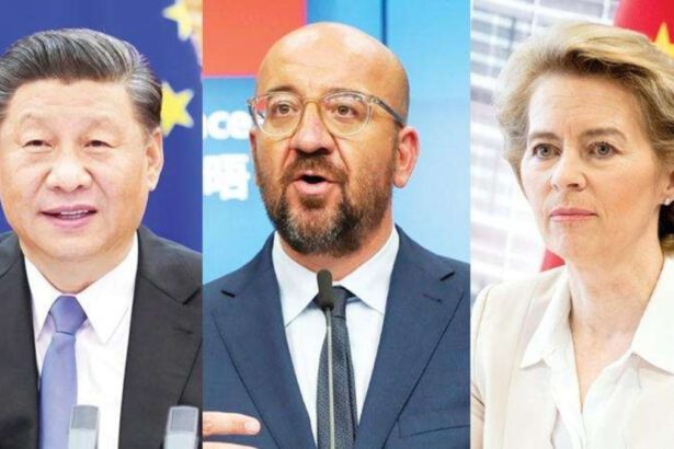 Guerra Ucraina, Ue: "Cina si prenda le sue responsabilità" 19