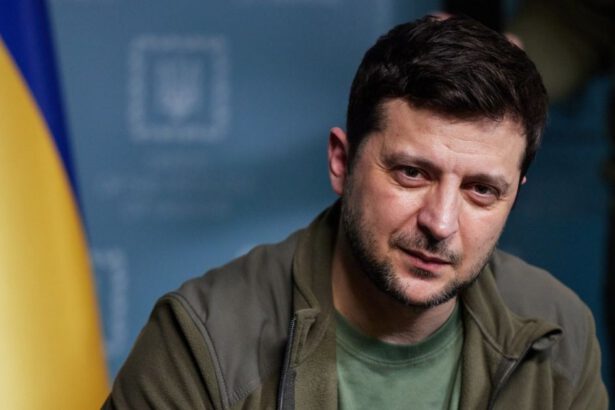 Il video di Zelensky sulla guerra e la pornografia del dolore 15