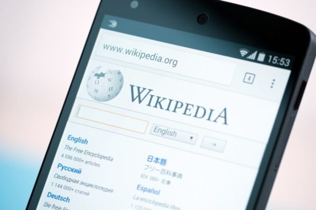 Wikipedia Italia oscurata: cosa sta succedendo 19