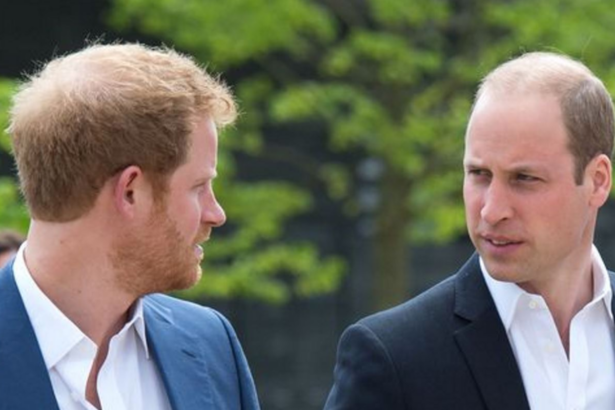William e Harry: rivelazioni scottanti sulla Royal family nel nuovo libro bomba 19