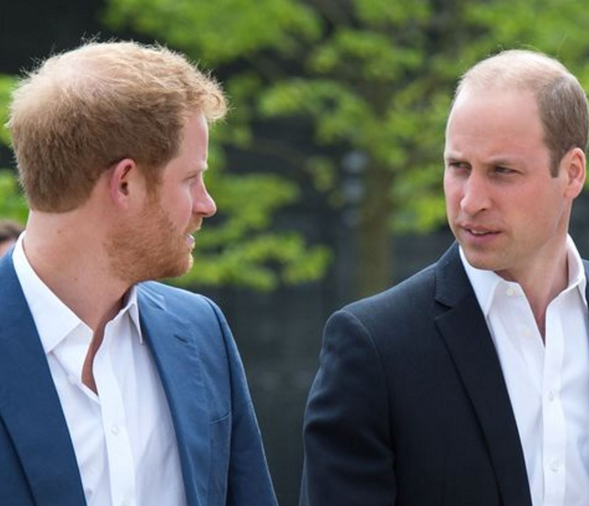 William e Harry: rivelazioni scottanti sulla Royal family nel nuovo libro bomba 17