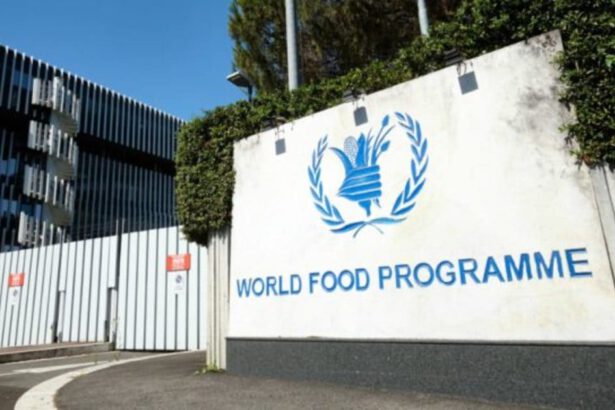 Nobel per la Pace al World Food Programme: “Il cibo il miglior vaccino contro il caos” 5