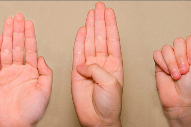 Il Telefono Rosa: "Una certezza contro la violenza fisica, psicologica, stalking e altre oppressioni" 14