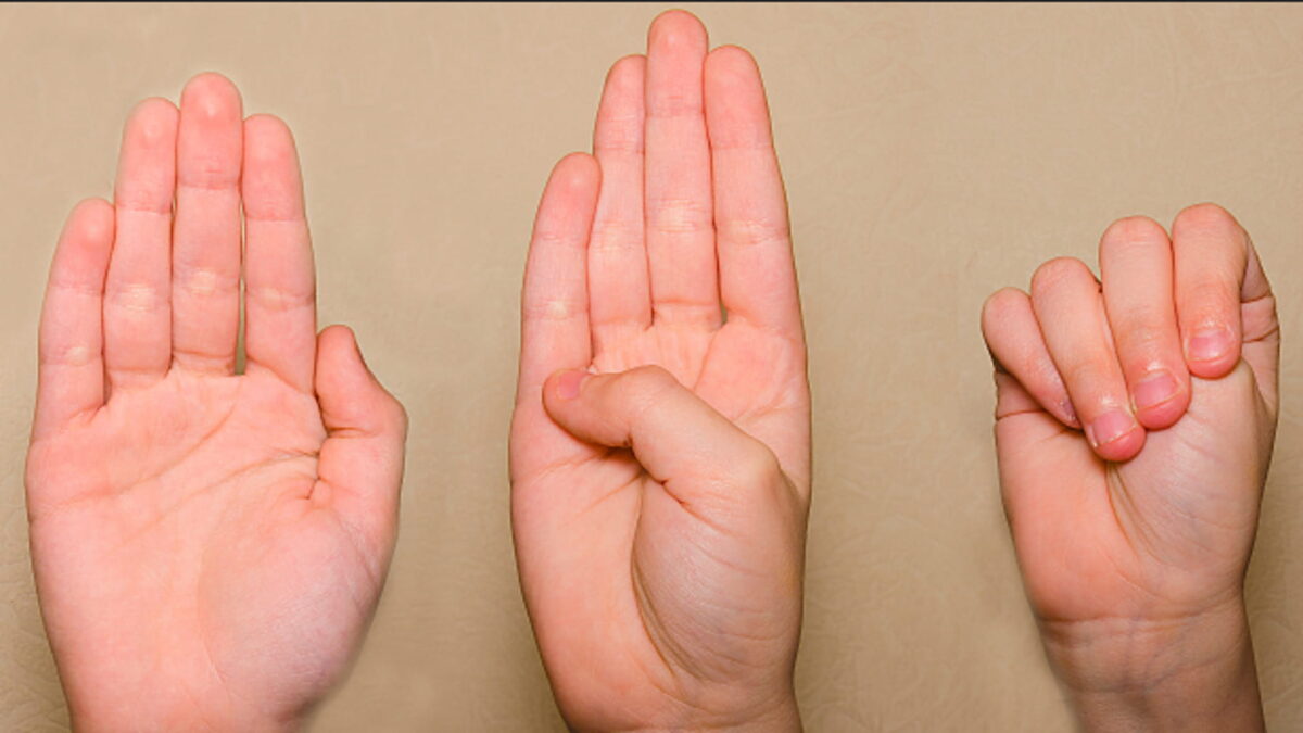 Il Telefono Rosa: "Una certezza contro la violenza fisica, psicologica, stalking e altre oppressioni" 13