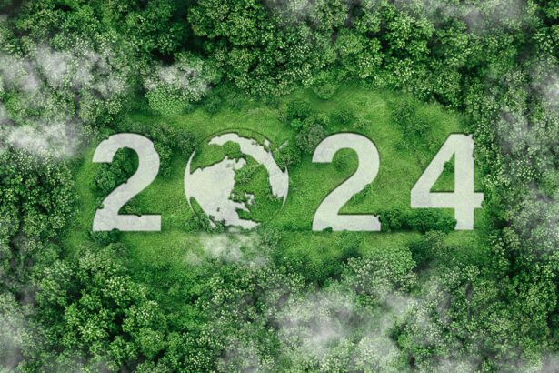 5 buoni propositi per un 2024 sostenibile: e tu, da dove cominci? 33