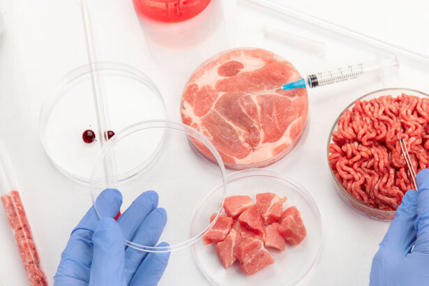 Agricoltura cellulare, cos'è e perché sarà presto l'alternativa alla carne animale 61