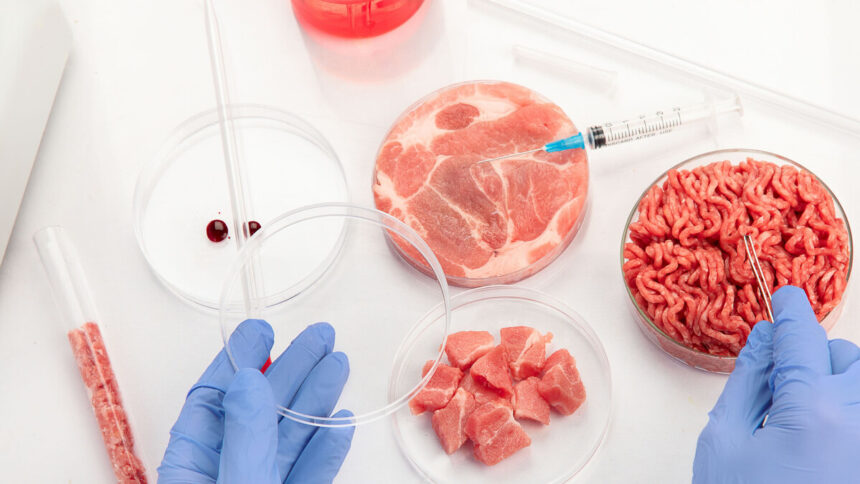 Agricoltura cellulare, cos'è e perché sarà presto l'alternativa alla carne animale 1
