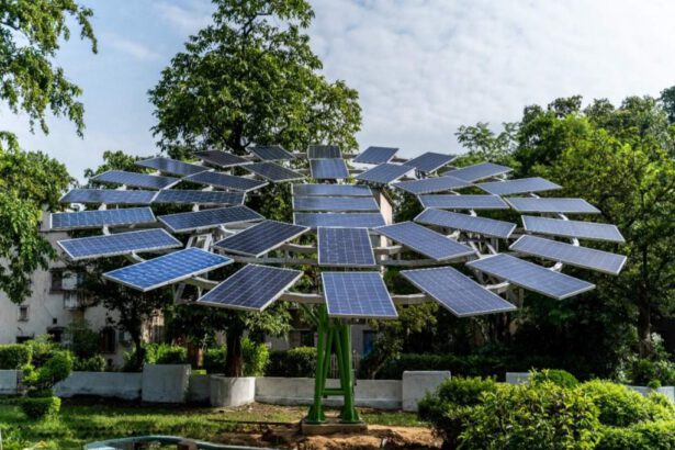 Alberi solari, le nuove foreste energetiche per le città 6