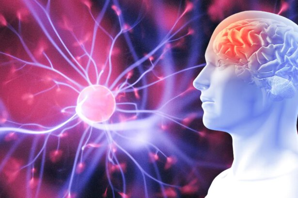 Studio sull'anima che abbandona il corpo: "Vibrazione quantistica" 14