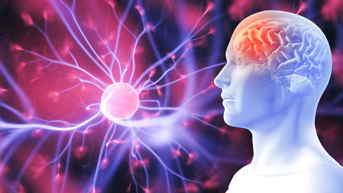 Studio sull'anima che abbandona il corpo: "Vibrazione quantistica" 17