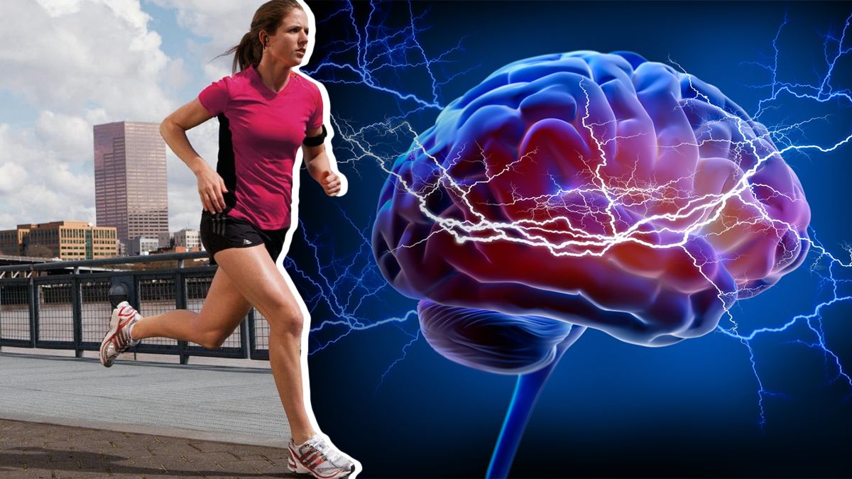 L'ultimo studio che dimostra che l'attività fisica fa bene ai nostri neuroni 13