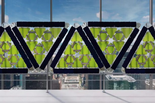 Dal Messico ecco i bio pannelli solari: 1 kg di biomassa mangia 2 kg di anidride carbonica 5