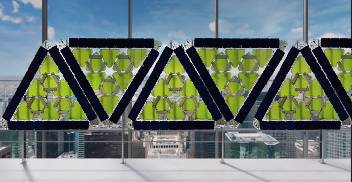 Dal Messico ecco i bio pannelli solari: 1 kg di biomassa mangia 2 kg di anidride carbonica 23