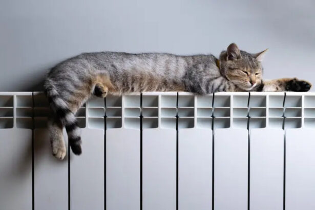 Bonus caldaia 2024: "È il momento di passare alle pompe di calore" 49