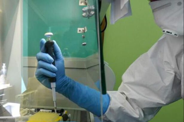 Covid, nuovo farmaco neutralizza tutte le varianti: lo studio Usa 17