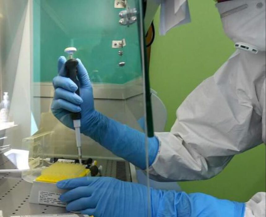 Covid, nuovo farmaco neutralizza tutte le varianti: lo studio Usa 1