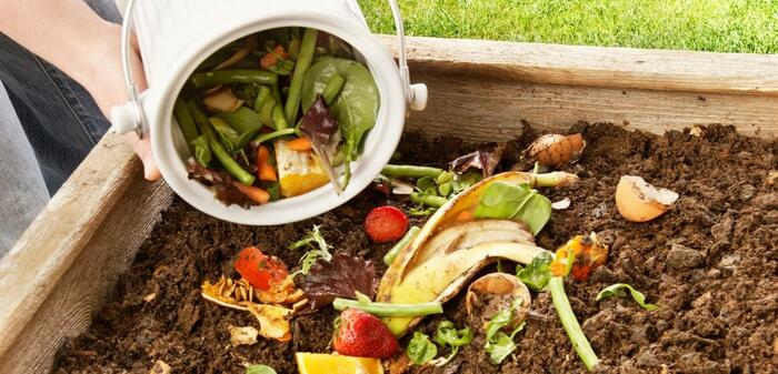 Ridurre l'impatto ambientale: soluzioni pratiche 9