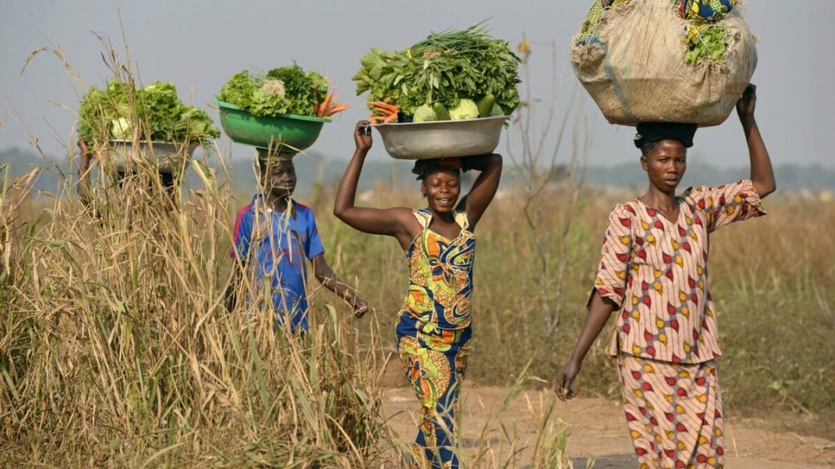 COP29, 300 miliardi di dollari ai Paesi in via di sviluppo per contrastare la crisi climatica 19