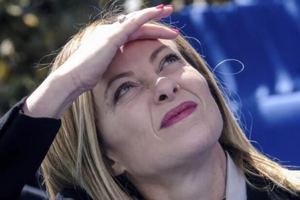 Elezioni Europee 2024: quando, come si vota e chi vincerà in Italia? 18