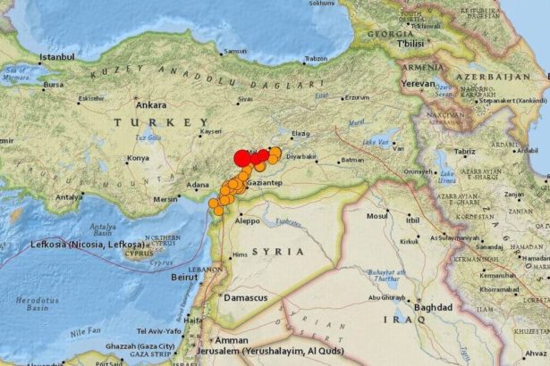 Epidemia sismica: cos’è e quali sono i rischi per la Turchia 19
